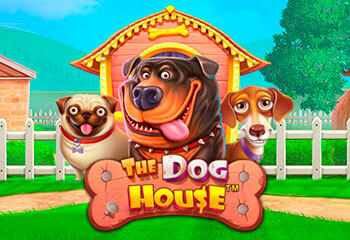 Dog House